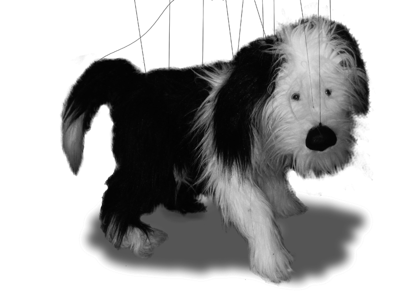 Marionette Sheepdog